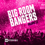 Big Room Bangers Vol 11