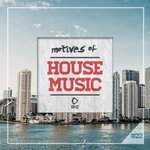 Motives Of House Music Vol 22