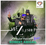 Crazy Things Robert Abigail Remix