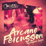 Arcane Percussion (Sample Pack WAV)