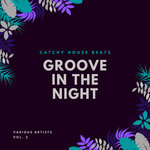 Groove In The Night (Catchy House Beats) Vol 2