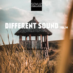 Different Sound Vol 14