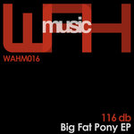 Big Fat Pony EP