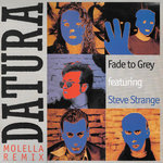Fade To Grey (Molella Remix)