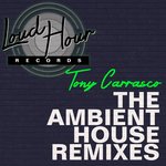 The Ambient House Remixes