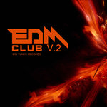 EDM Club Vol 2