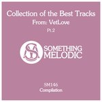Collection Of The Best Tracks From: Vetlove Pt 2