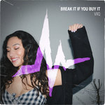 Break It If You Buy It