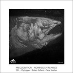 Precognition (Norwegian Remixes)