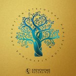 Steyoyoke Perception Vol 7