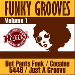 Funky Grooves Vol 1