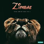 Zimbae: Tribal Ambient House Vol 3