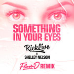 Something In Your Eyes (Flava D Remix)