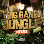 Big Bang Jungle By Veak (Sample Pack WAV)