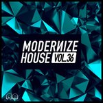 Modernize House Vol 36