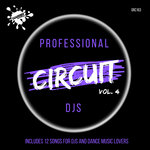 Professional Circuit Djs Compilation Vol 4