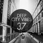 Deep City Vibes Vol 37