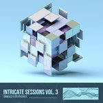 Intricate Sessions Vol 03 (Unmixed)