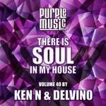 Ken N & Delvino Presents There Is Soul In My House Vol 40