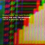 Call Me Mr Telephone (Tiger & Woods Remix)