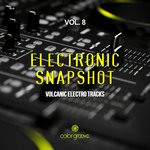 Electronic Snapshot Vol 8 (Volcanic Electro Tracks)