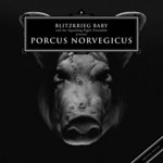 Porcus Norvegicus (Explicit)