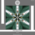 The Selection Vol 5