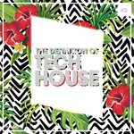 The Definition Of Tech House Vol 2