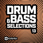 Drum & Bass Selections Vol 13