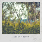 Stellar/Datum