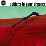 Spiders In Your Dreams