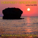 Deepest Grooves Vol 29