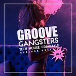 Groove Gangsters Vol 1 (Tech House Criminals)