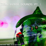 Tribal House Sound Vol 2 (Discover Tribal-House Rhythms)