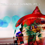 Tribal House Sound Pt 1 (Discover Tribal-House Rhythms)