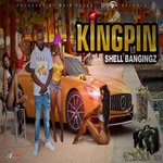 Shell Bangingz