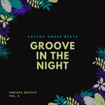 Groove In The Night (Catchy House Beats) Vol 4