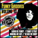 Funky Grooves Vol 10