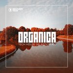 Organica Vol 33