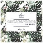 Ambassadors Of Music Vol 16