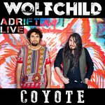 Coyote (Adrift)