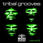 Tribal Grooves Vol 3