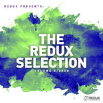 Redux Selection Vol 8 (2020)