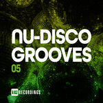 Nu-Disco Grooves Vol 05