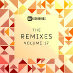 The Remixes Vol 17