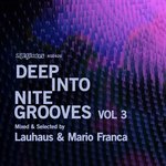 Deep Into Nite Grooves Vol 3