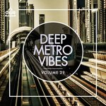 Deep Metro Vibes Vol 29