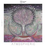 Voltaire Music Pres.: Atmospheric Vol 9