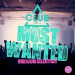 Most Wanted: Bigroom Selection Vol 44