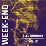 Week-End Electronique Vol 1